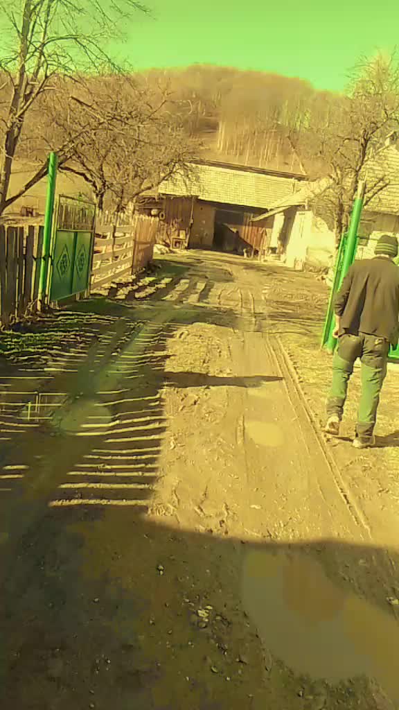 @Vasile Mitrofan