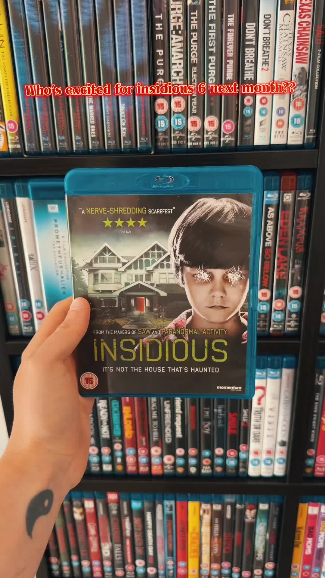 @thefilmdancollects
