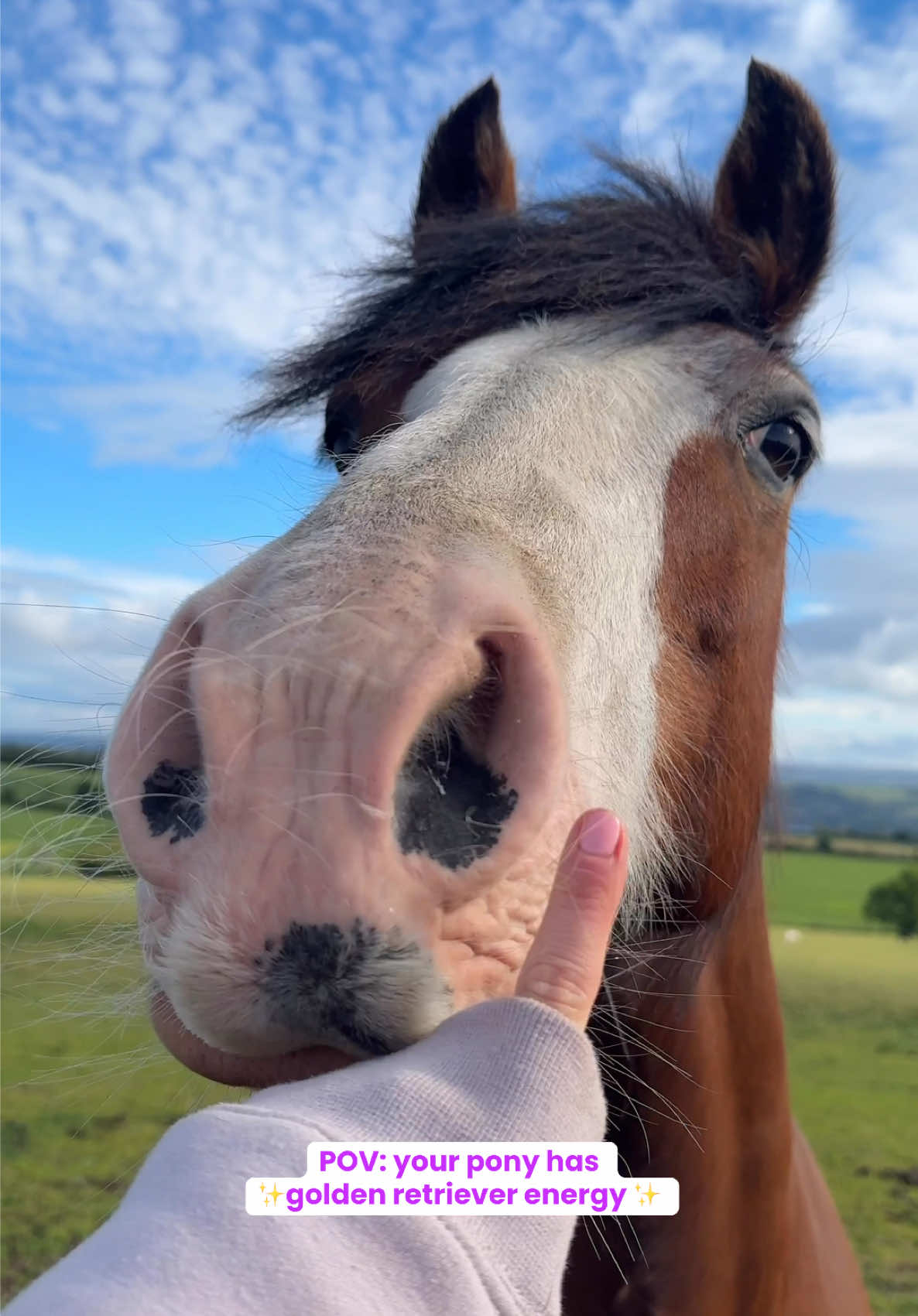 @Yardd | Equine Life Simplified