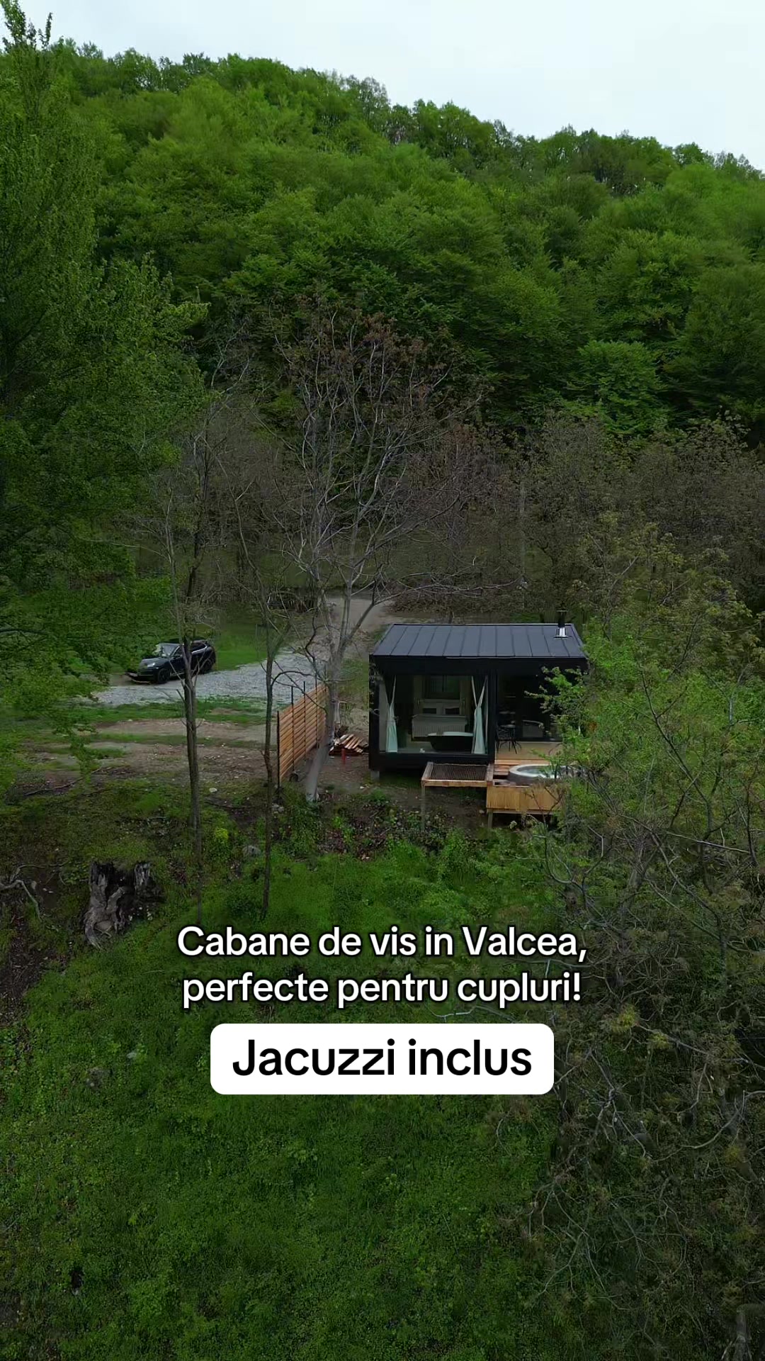 @Forest View Valcea