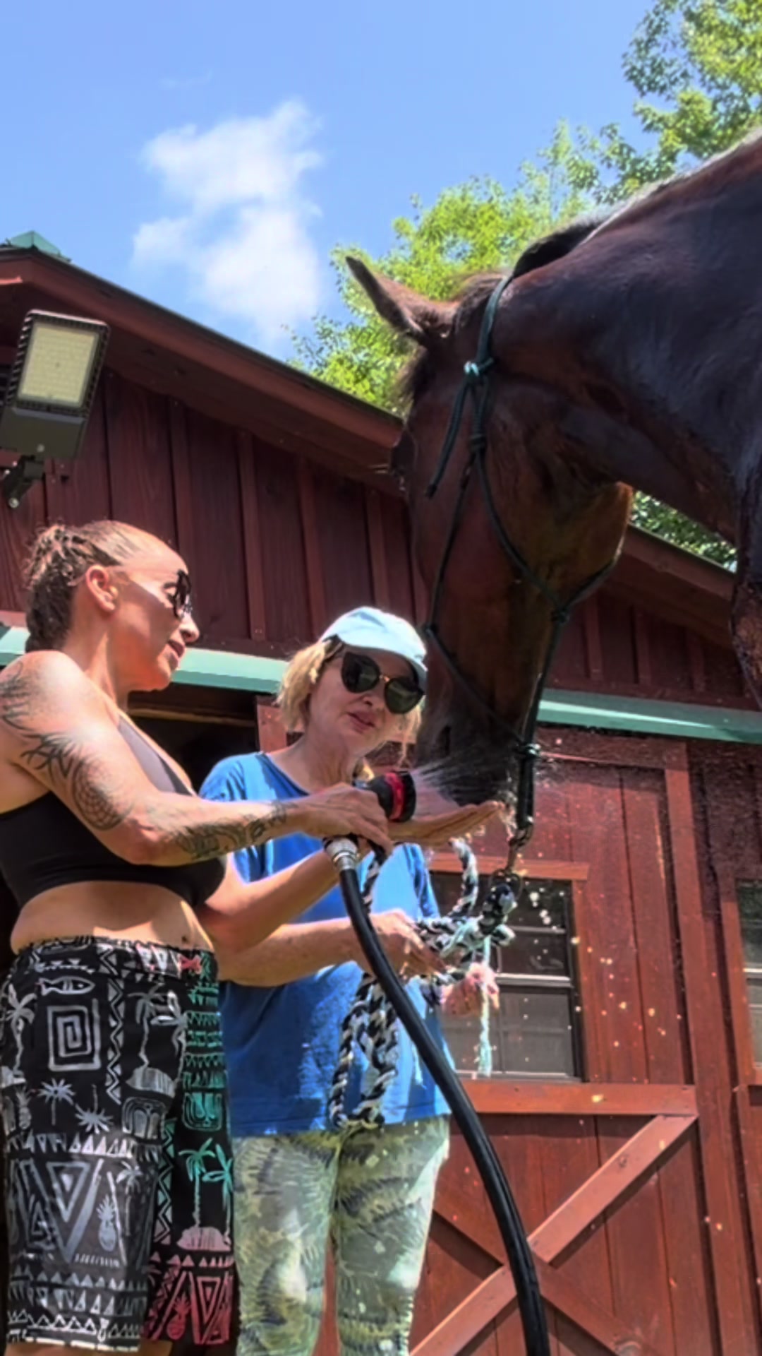 @Unshackled Hearts Ranch