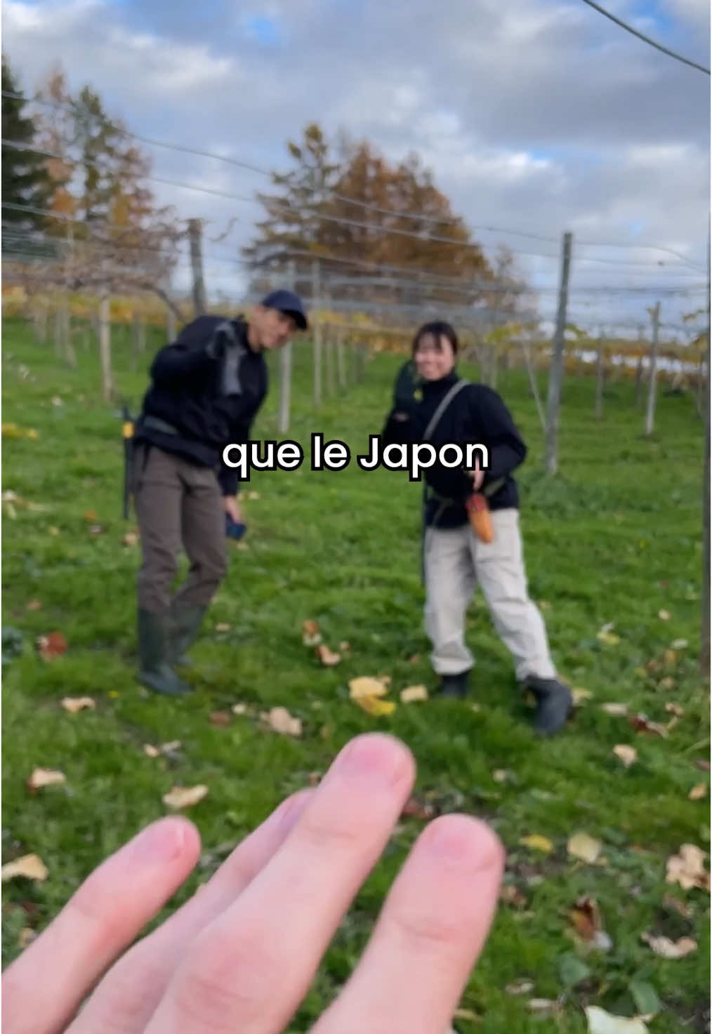 @Le Go&ucirc;t des Racines