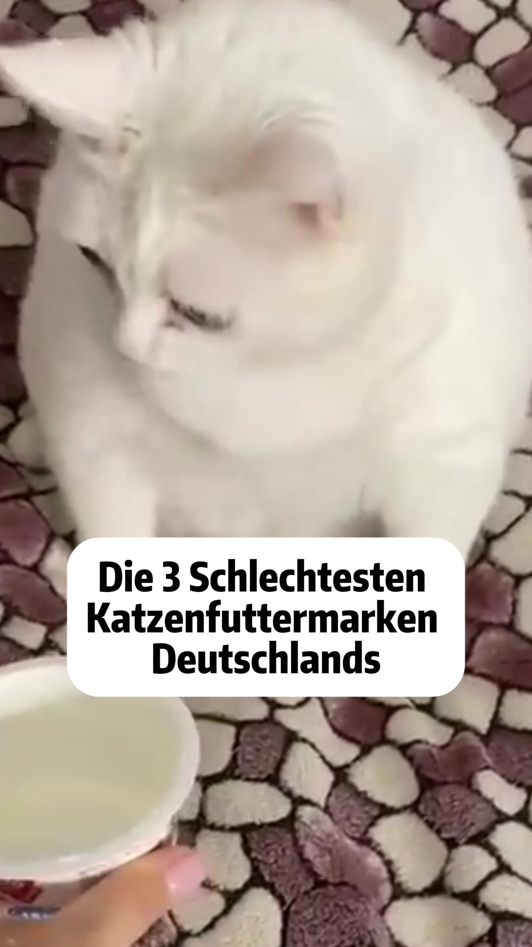 @funnyfuct6