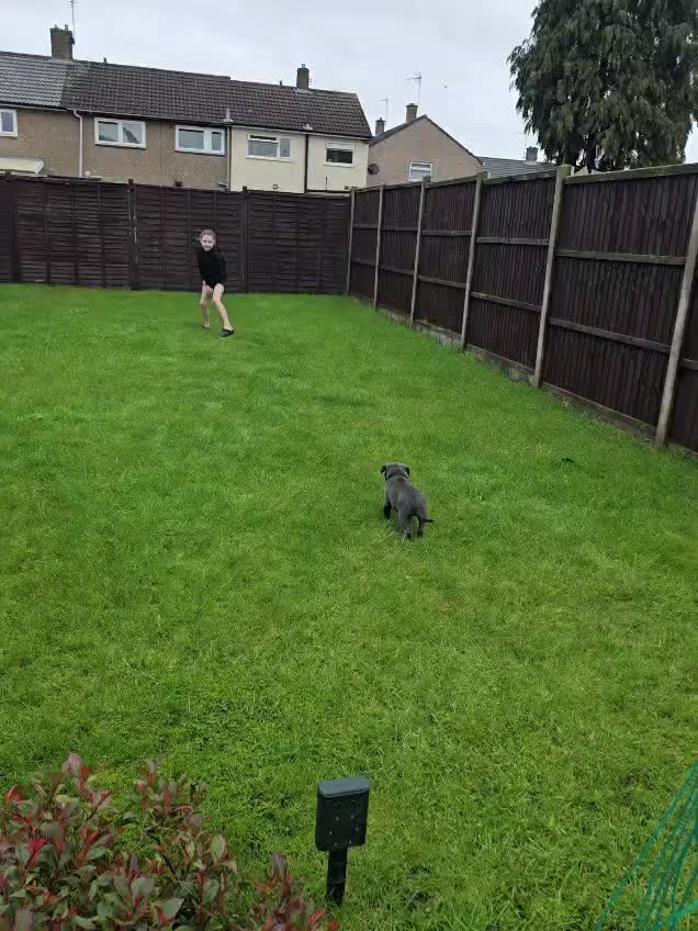 @𝕆𝕕𝕚𝕟🐾