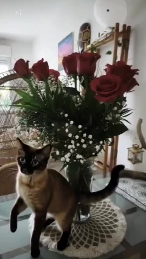 @Bianca Beltr&aacute;n 