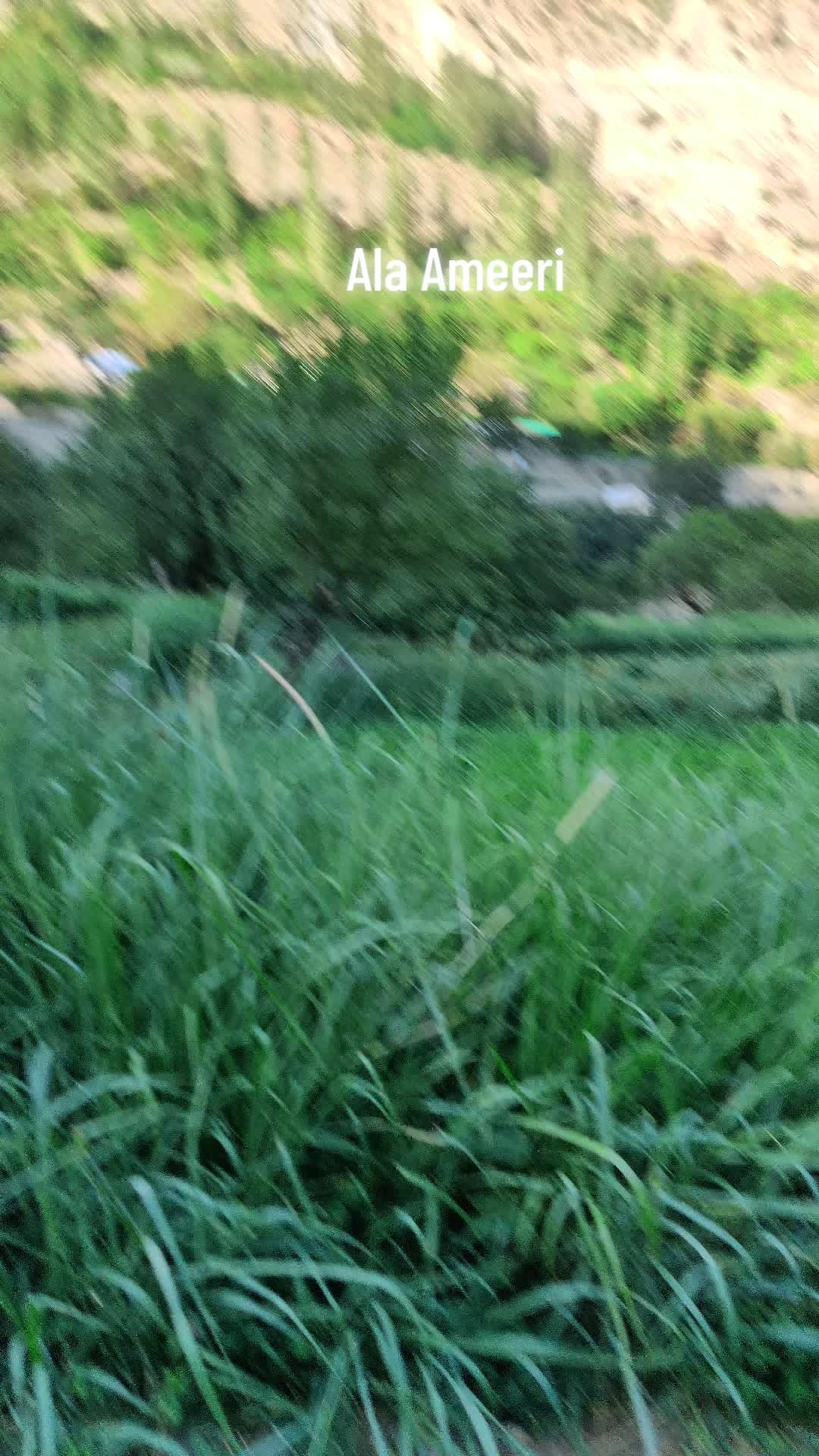 @MR-Khalil360