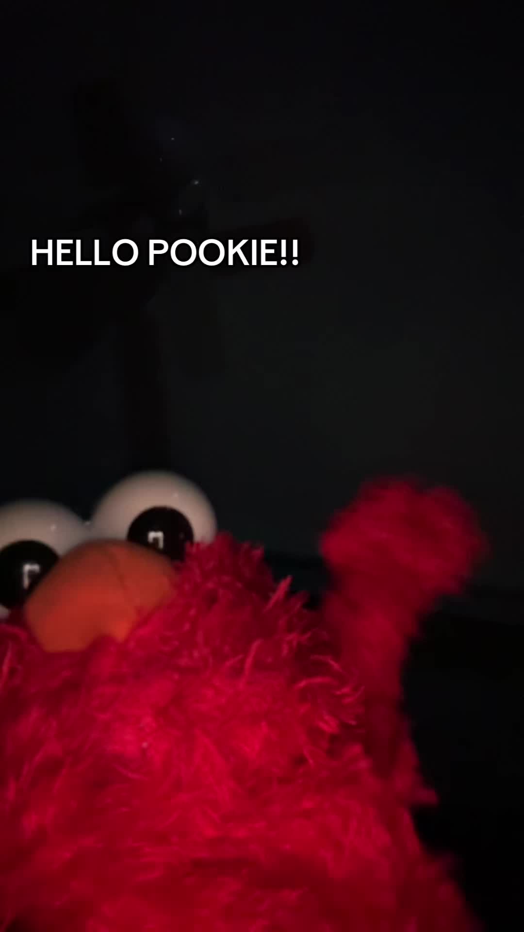 @Elmo