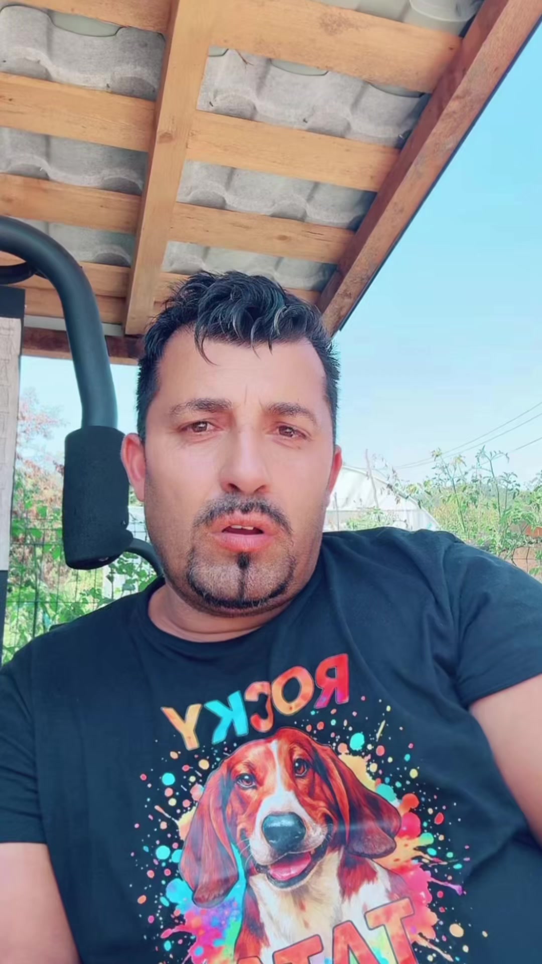 @adelin_petrisor67.