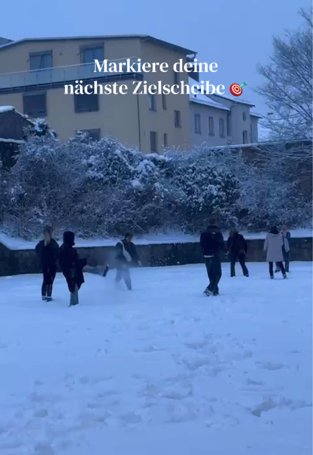 @abipunktur