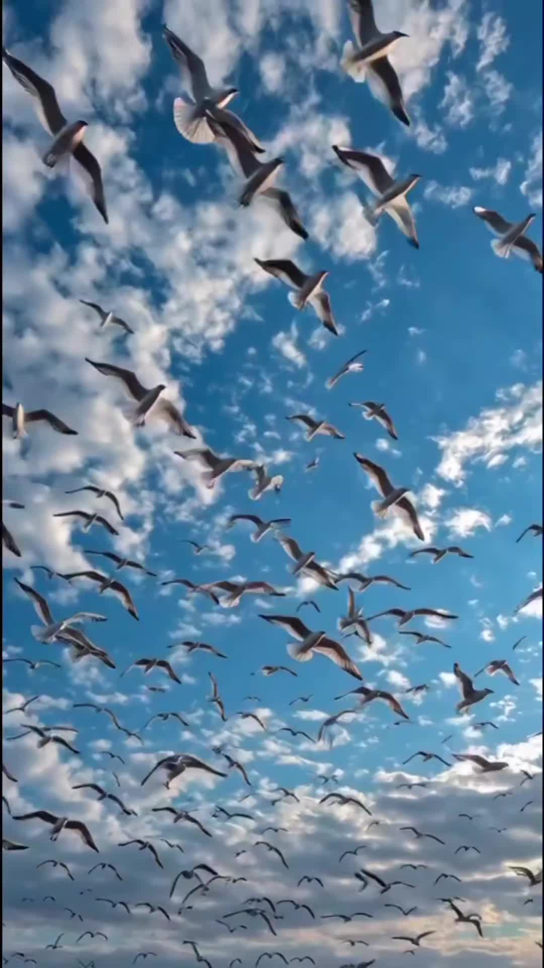 @æ