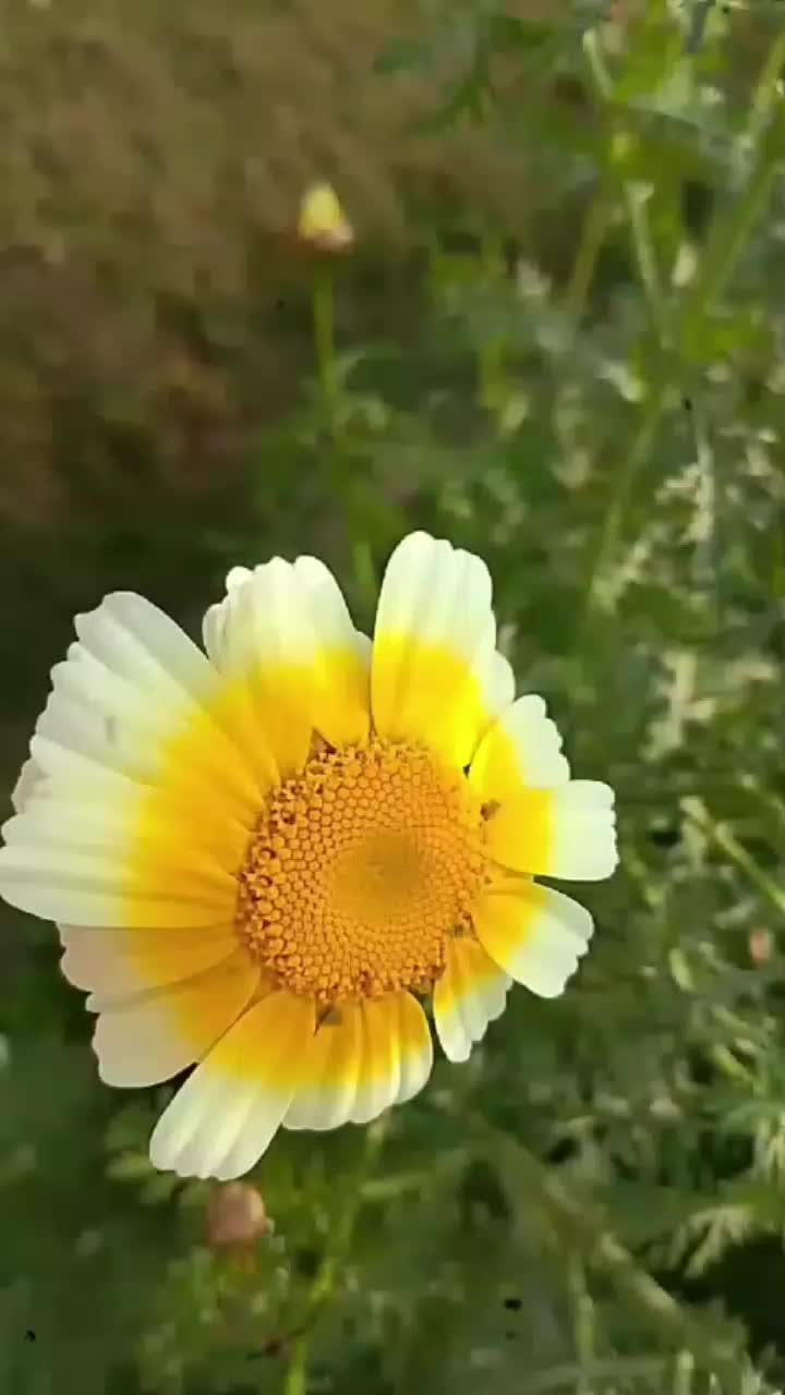@❤️🦚