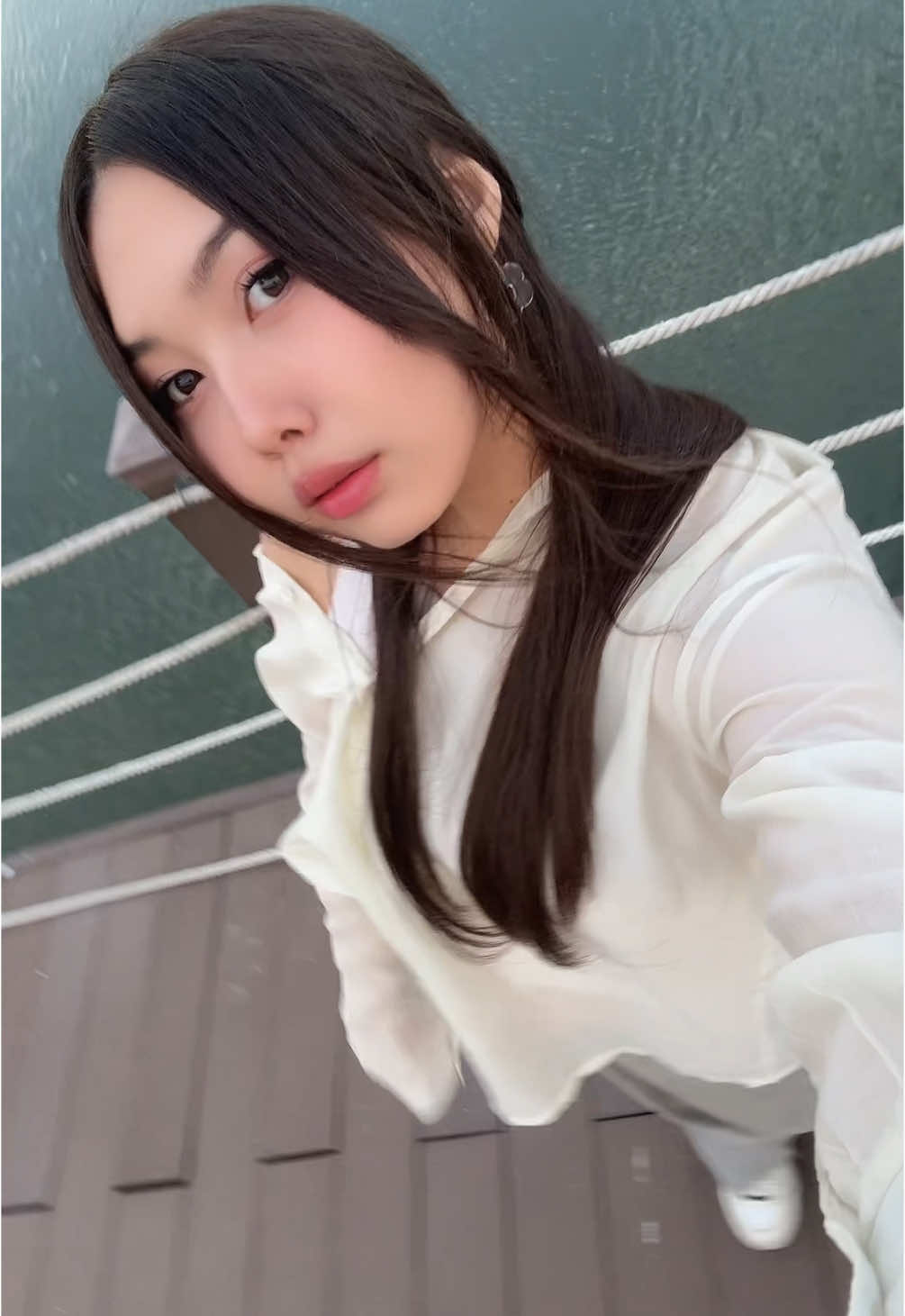 @aqniemes