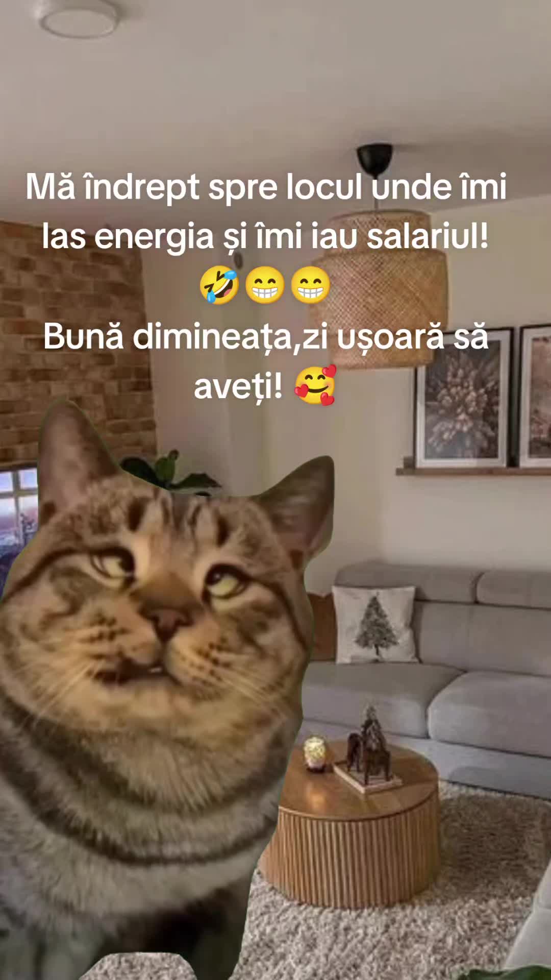 @Carmen Buhinschi