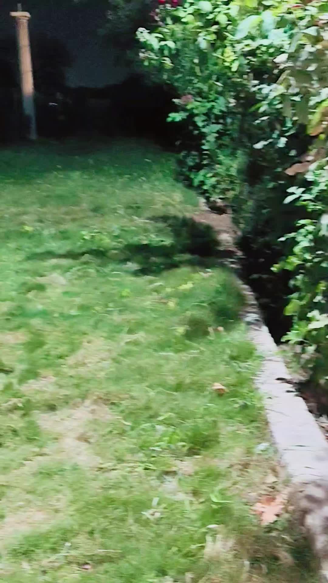 @𝒴𝒶ق𝑜𝑜𝒷 𝒦𝒶𝓀𝒶𝓇