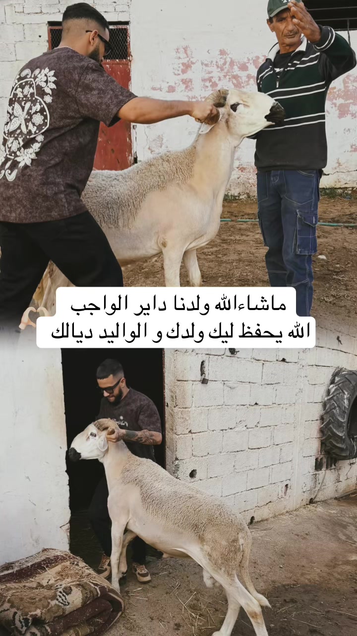 @Fans Youssra queen 🥹🫶❤️