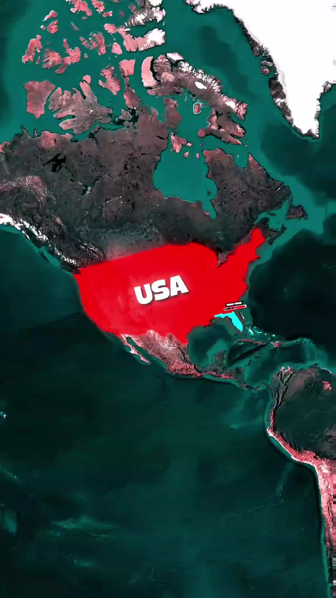 @GeoPulse 🌍