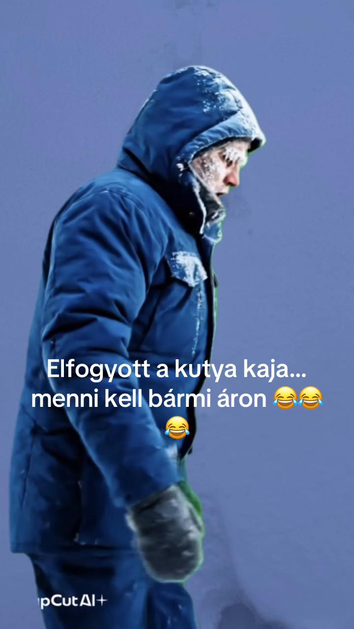 @Lucko Barf & Kutyasüti