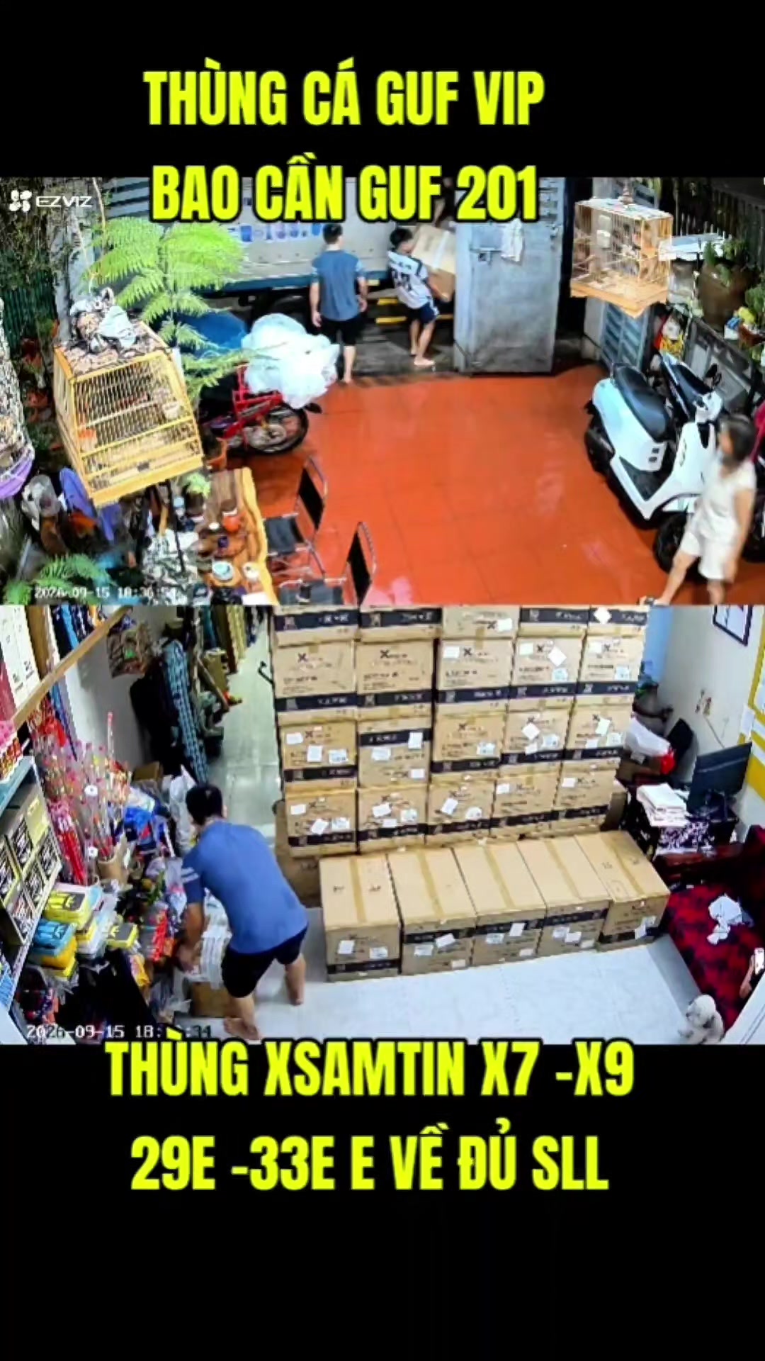 @Docau Hienminh