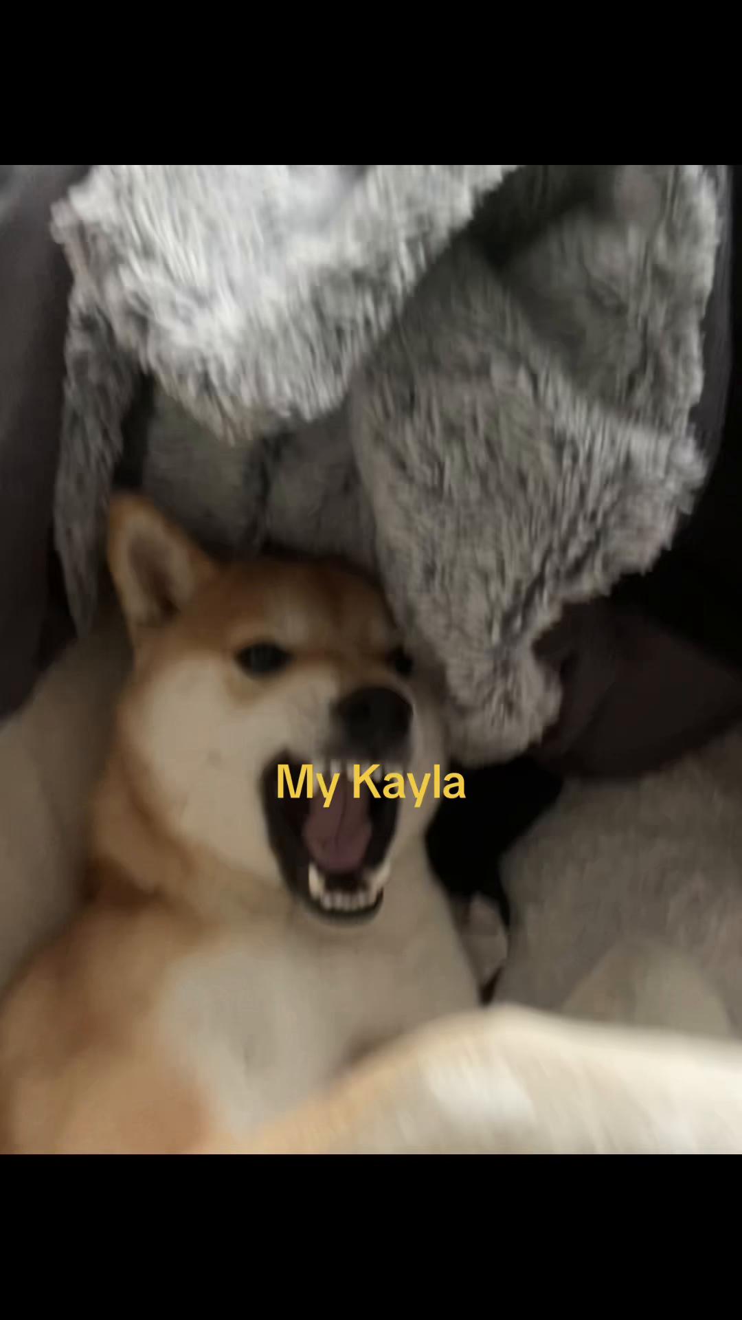 @Kayla