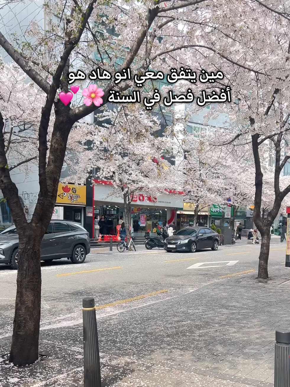 @Dr Rima 🇰🇷