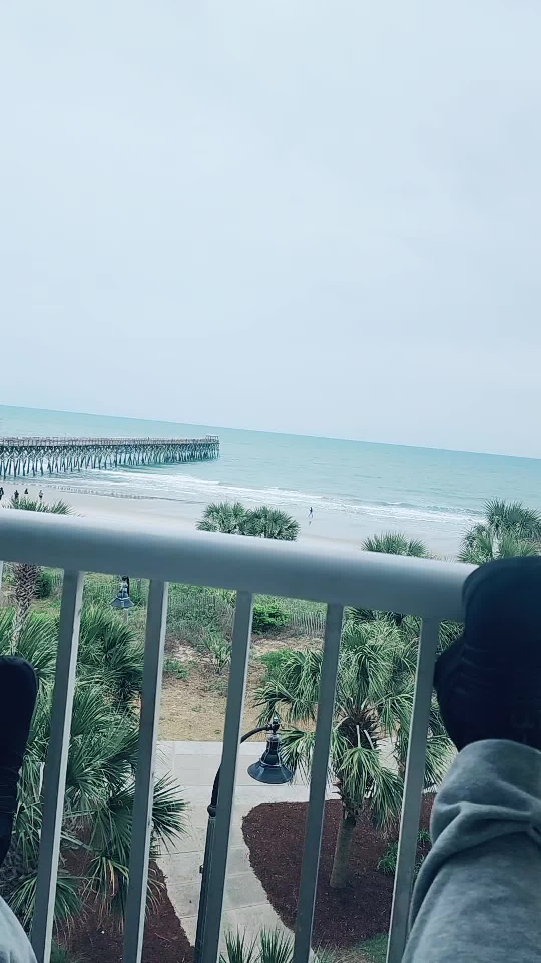 @Jen.Lewis