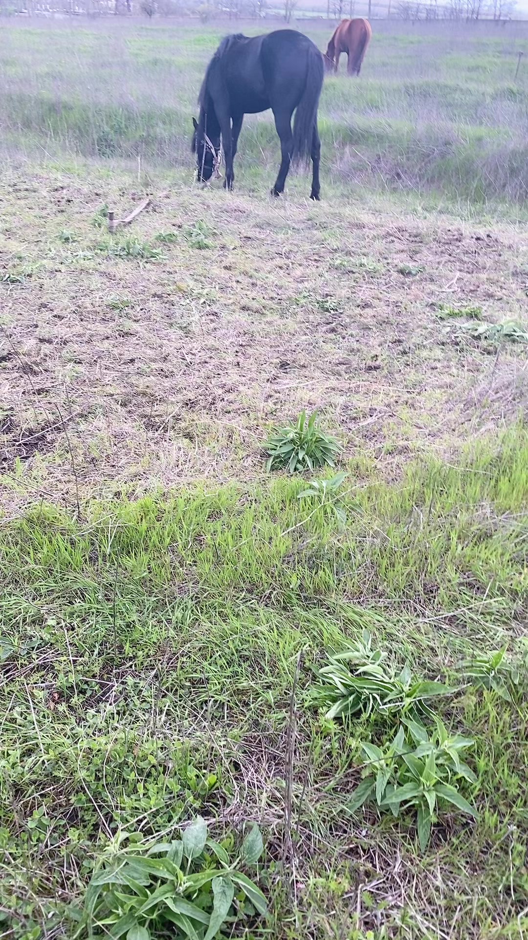 @Наталья