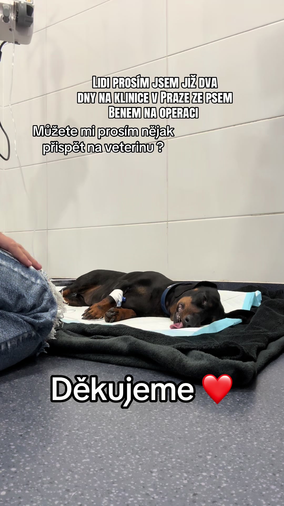 @sajunnka16