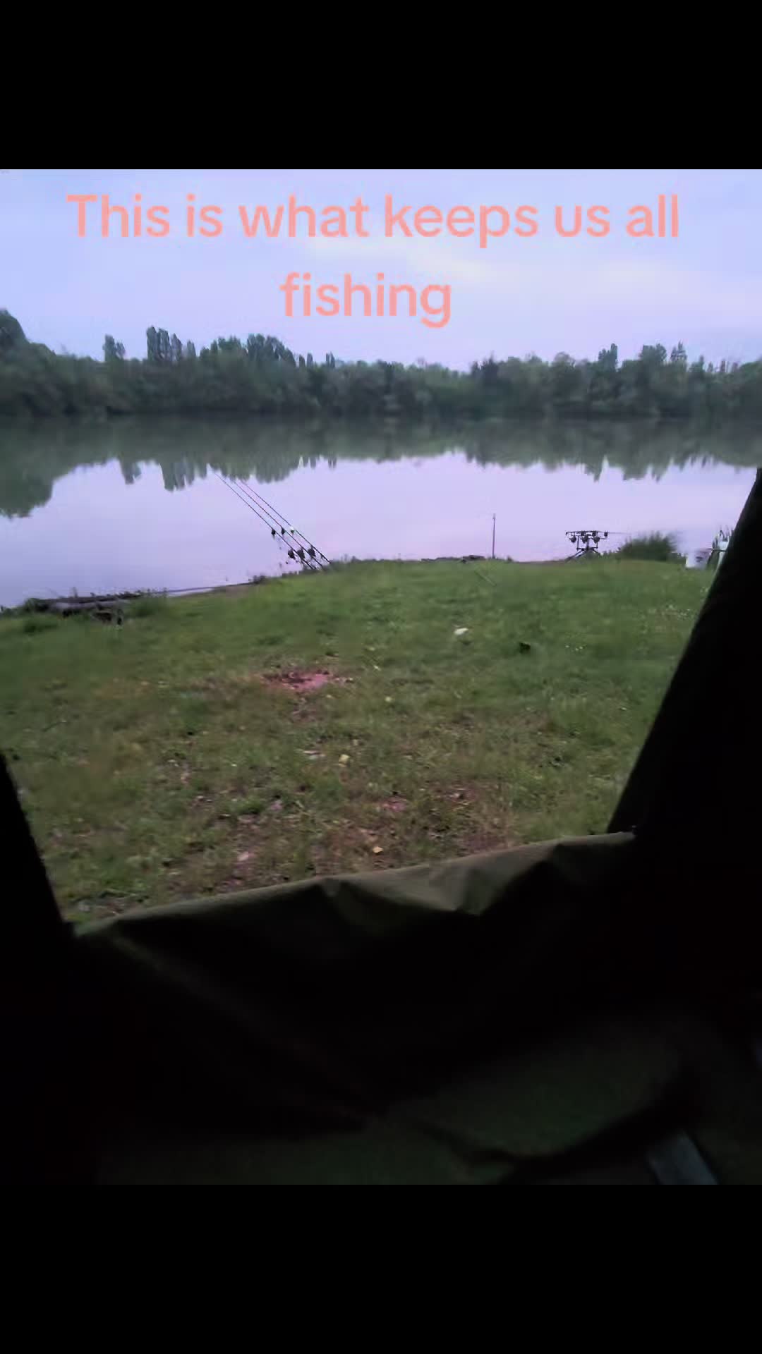 @scaley waters