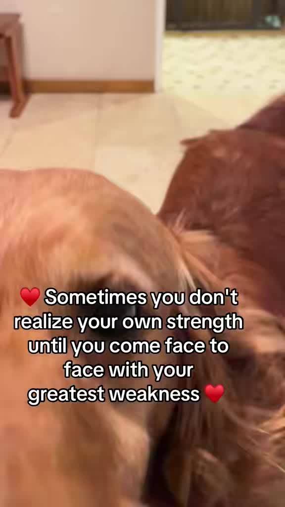 @Happy buddy