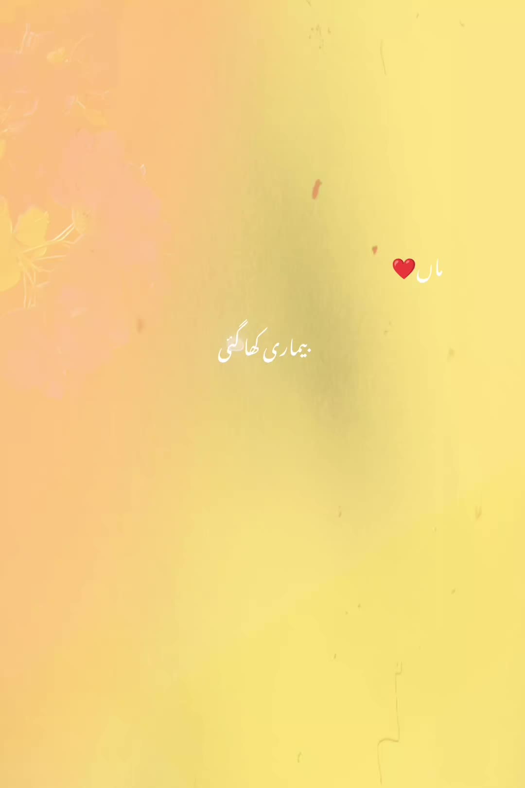 @α૨❍❍ꪮ 🐾