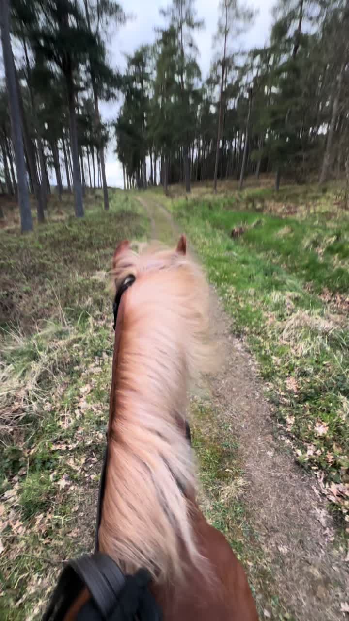 @Ellie 🐴🏎️