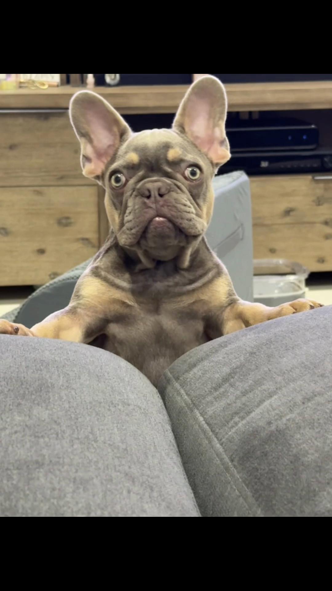 @kylietrexhall