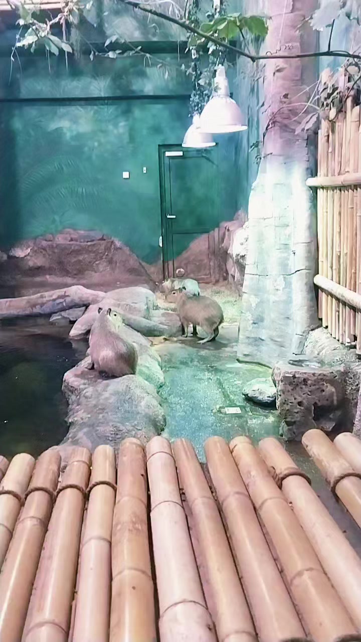 @❤️❤️НОЗА❤️❤️
