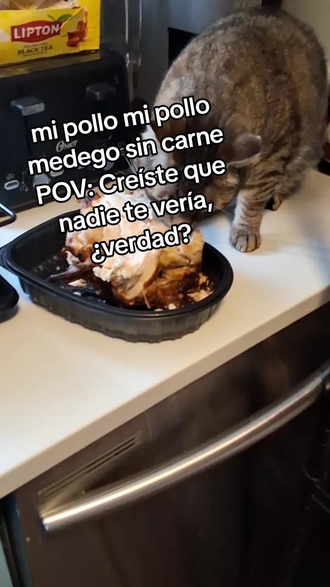 @Mamagatera20