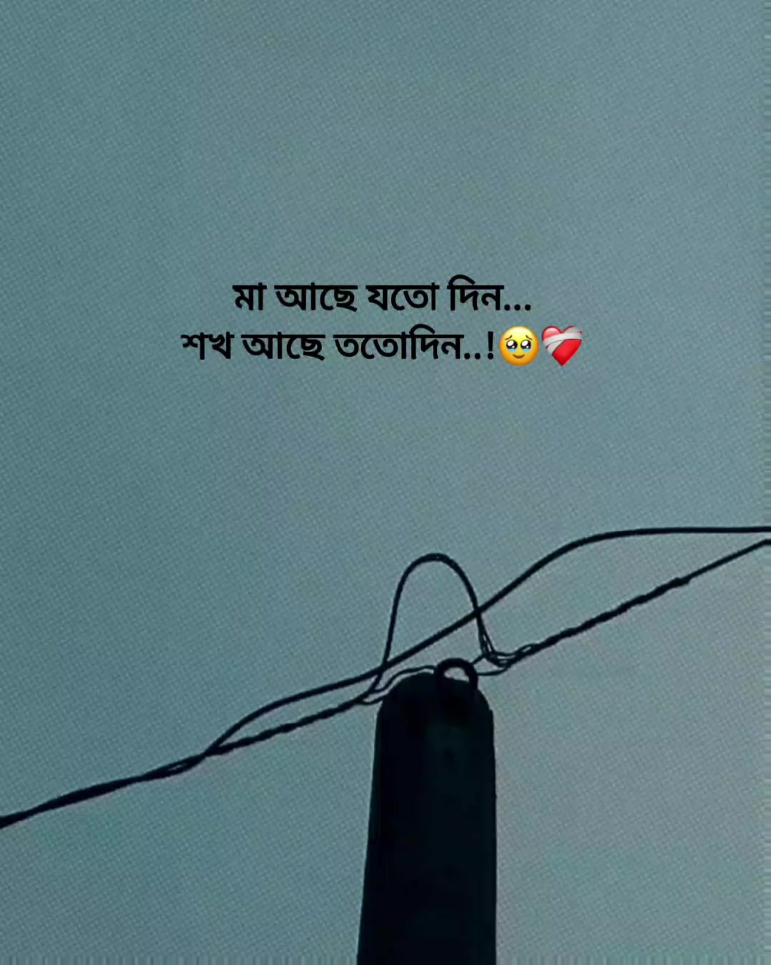 @Rakib Khan