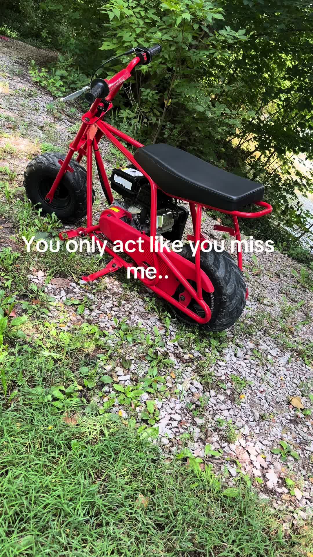 @leckronez