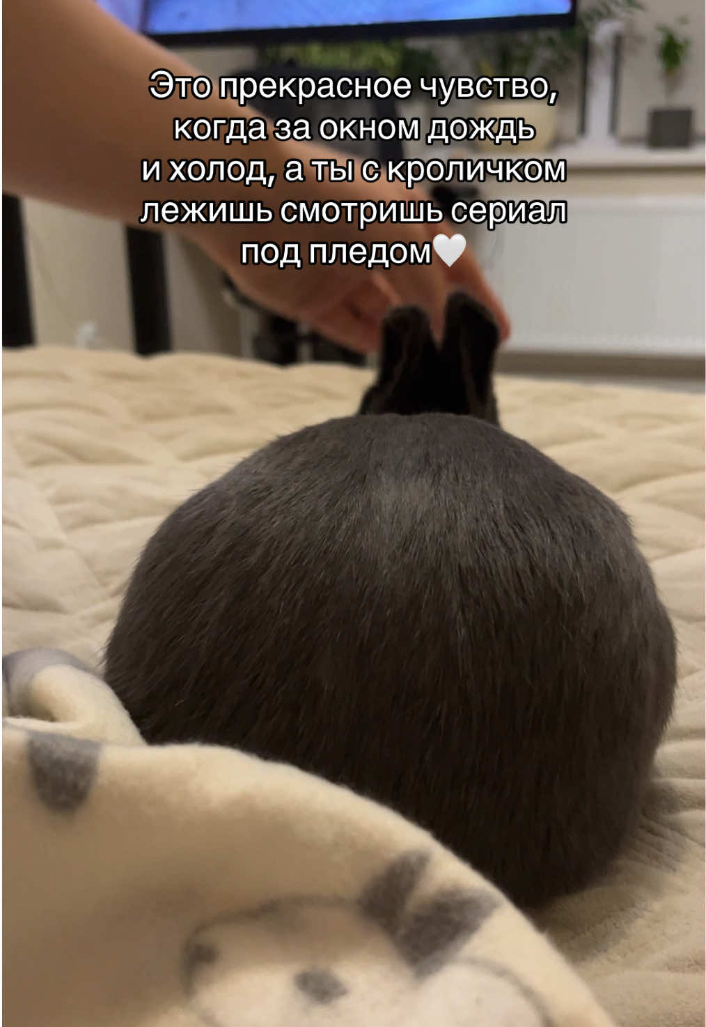 @Пусик