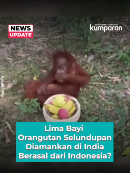 @kumparan