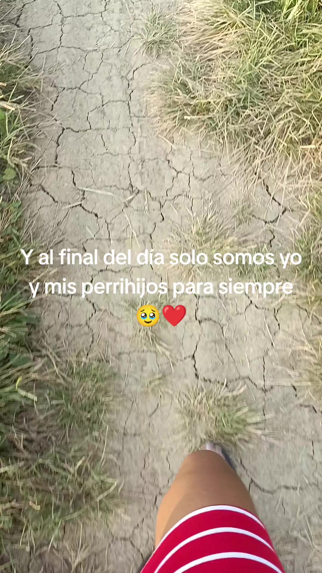 @Dayi🎀VC