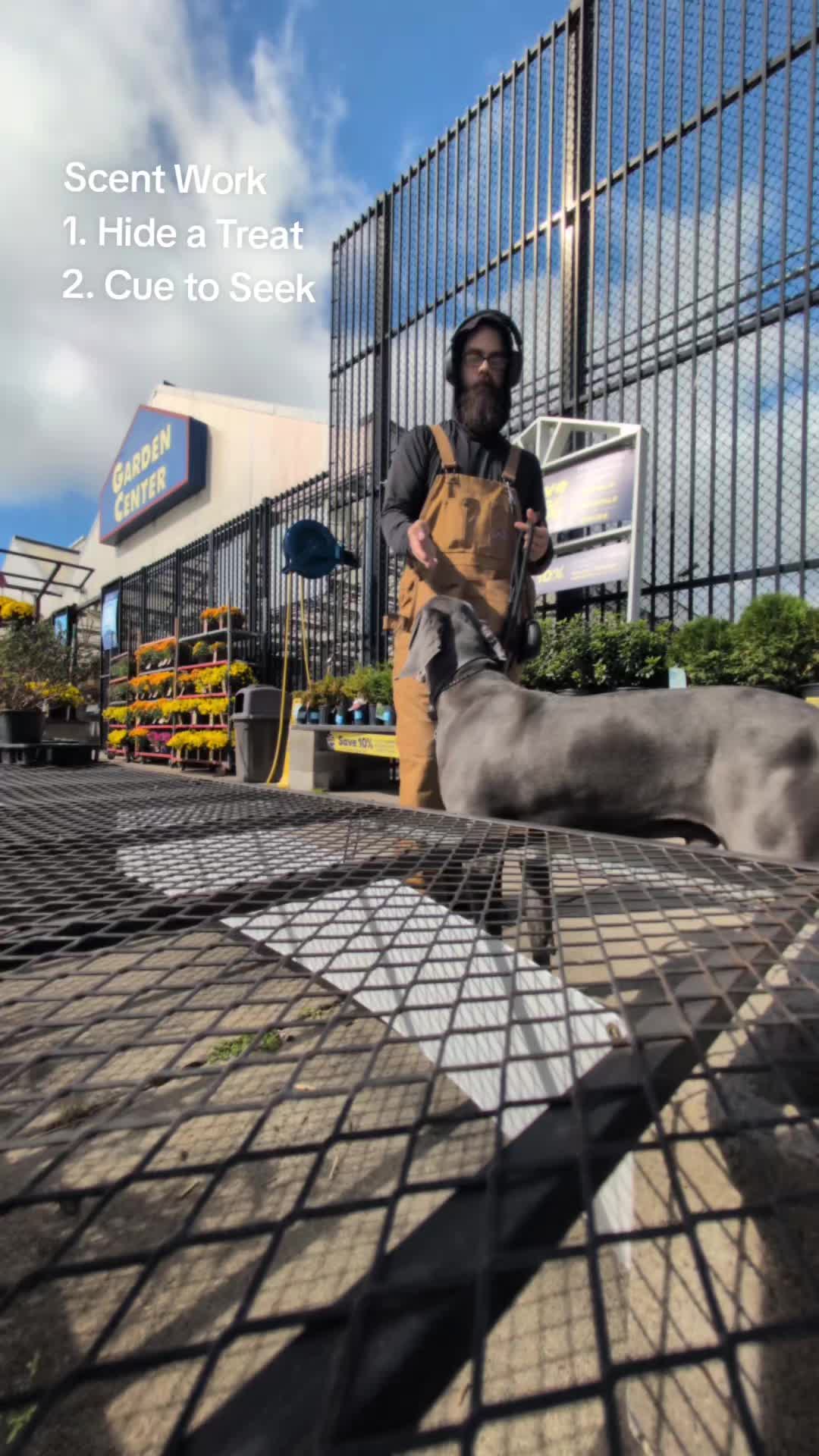 @AwesomeDogHandlingDude