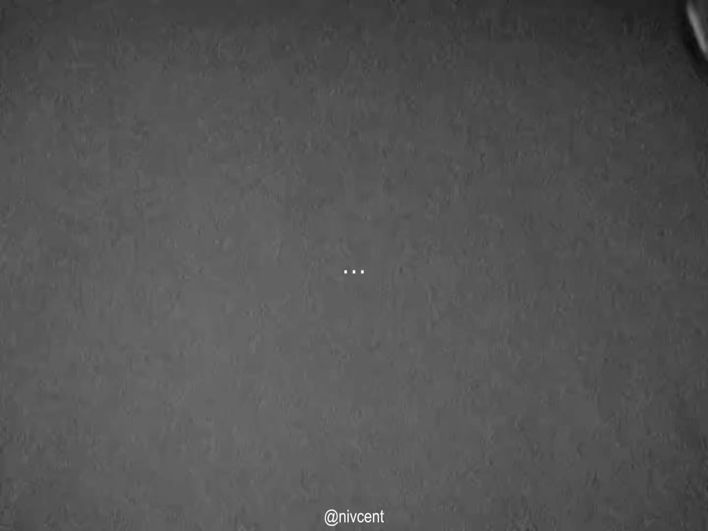 @𝗡𝗶𝘃𝗰𝗲𝗻𝘁