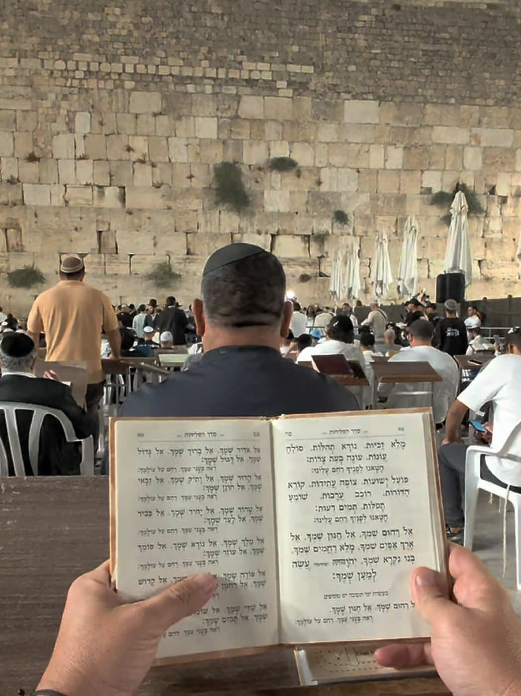 @צחי אוכל את ישראל 🇮🇱