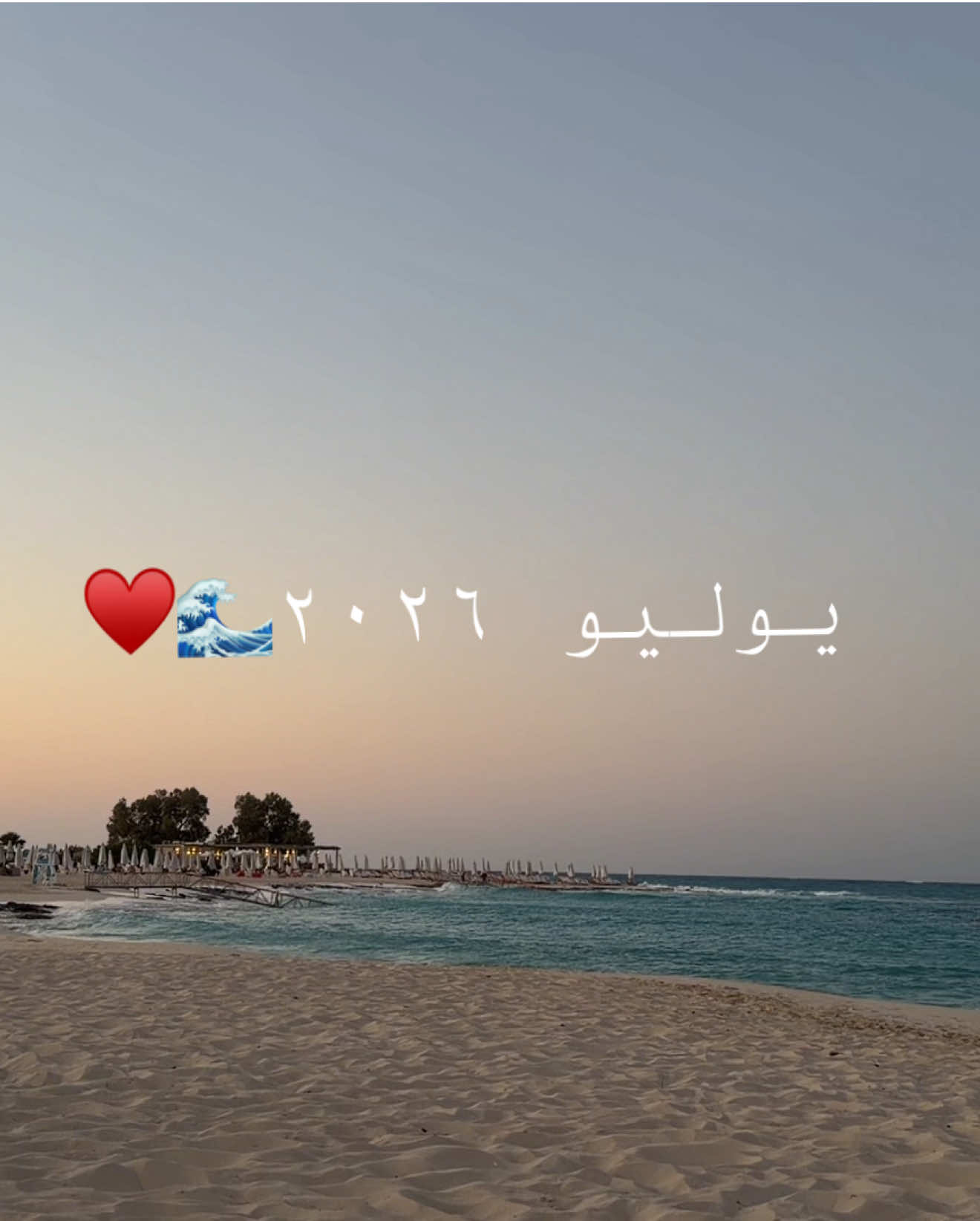 @Reem Elkhashab