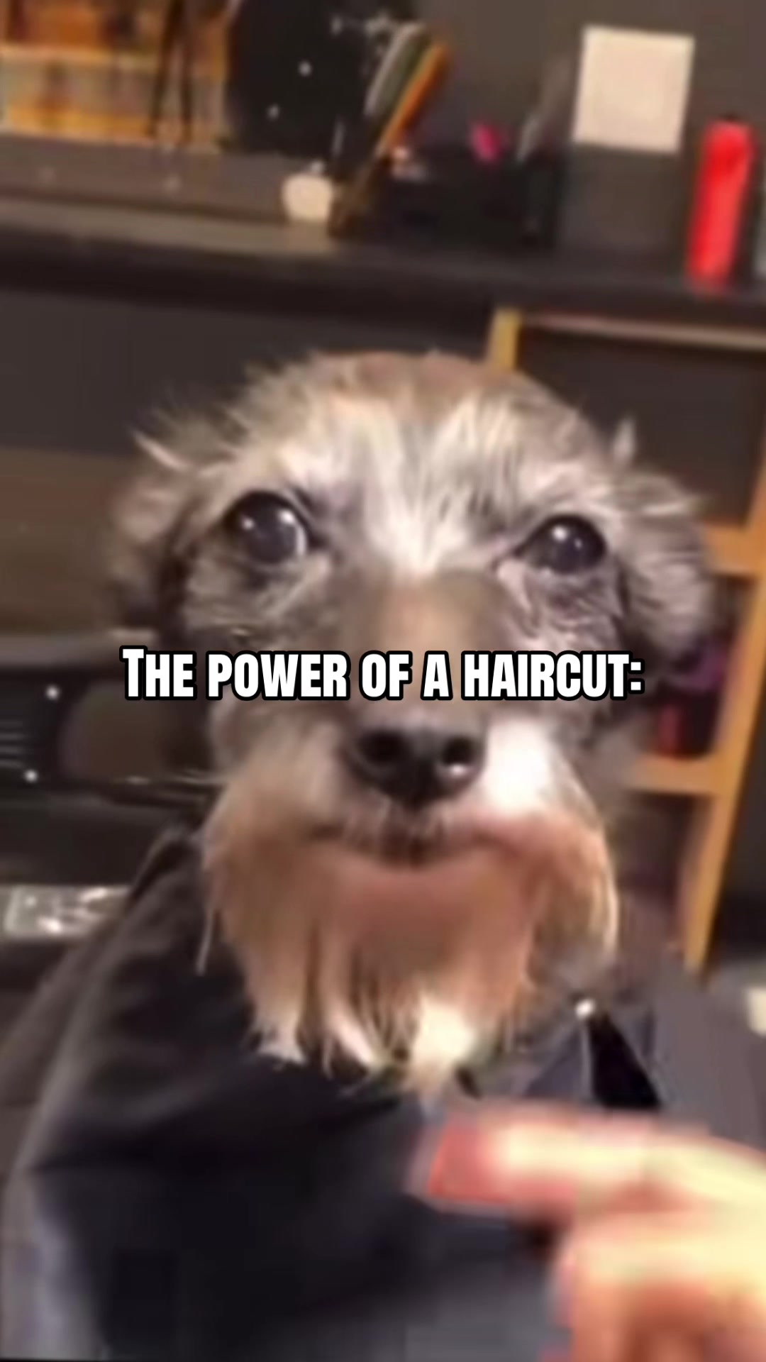 @Master.O0gway