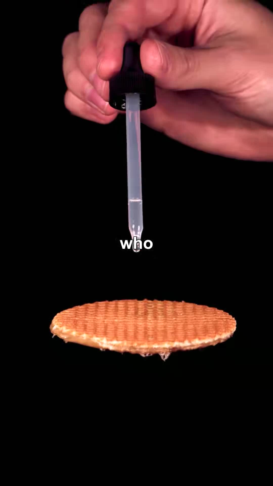 @pjtqbc