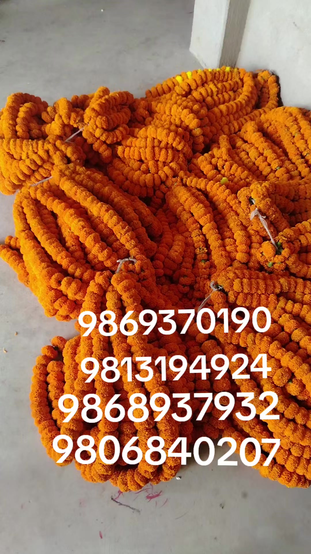 @मौर्यवन्सि🫀 बलम जि ☠️कुश्वाहा