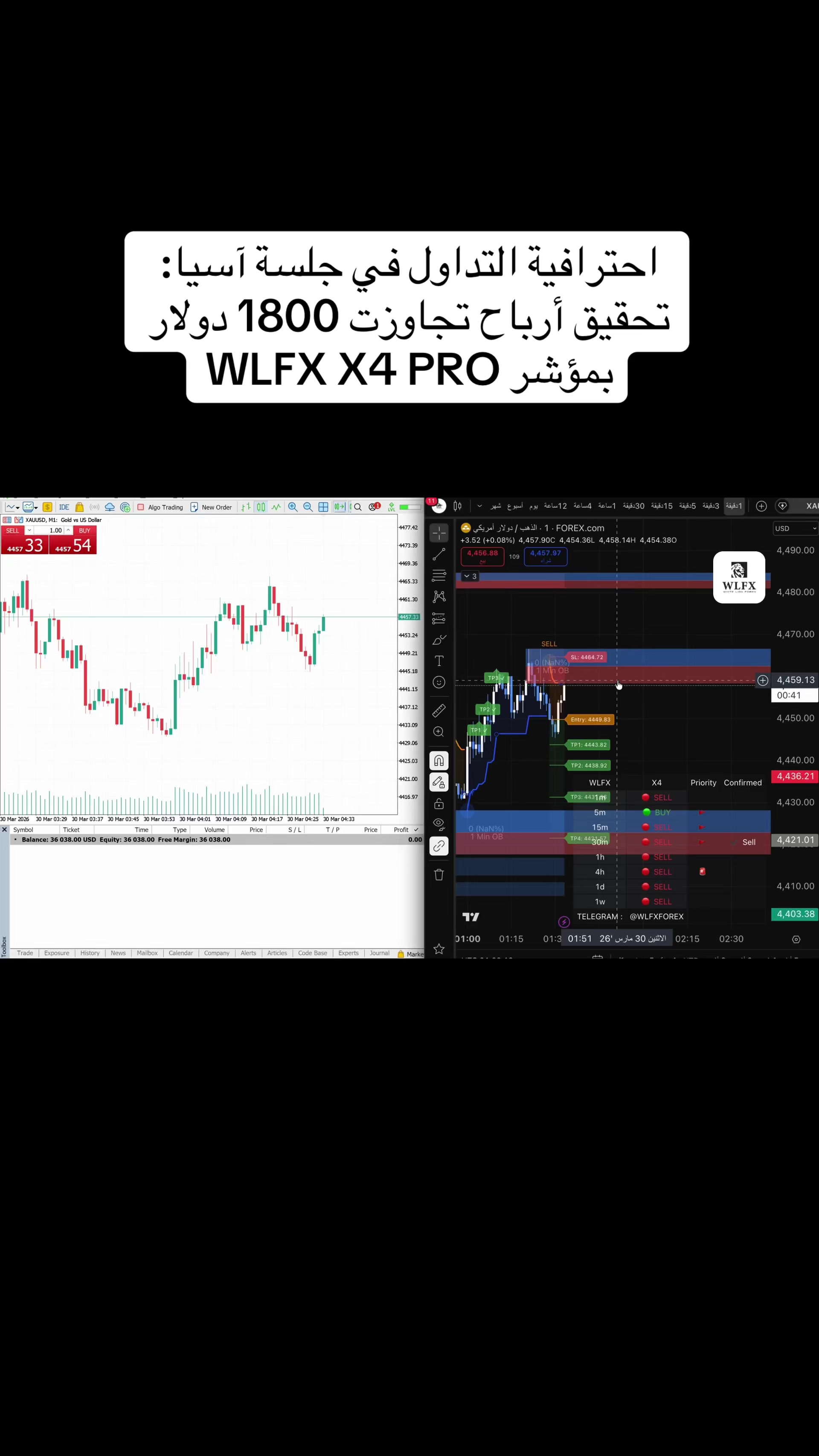 @WLFX.forex