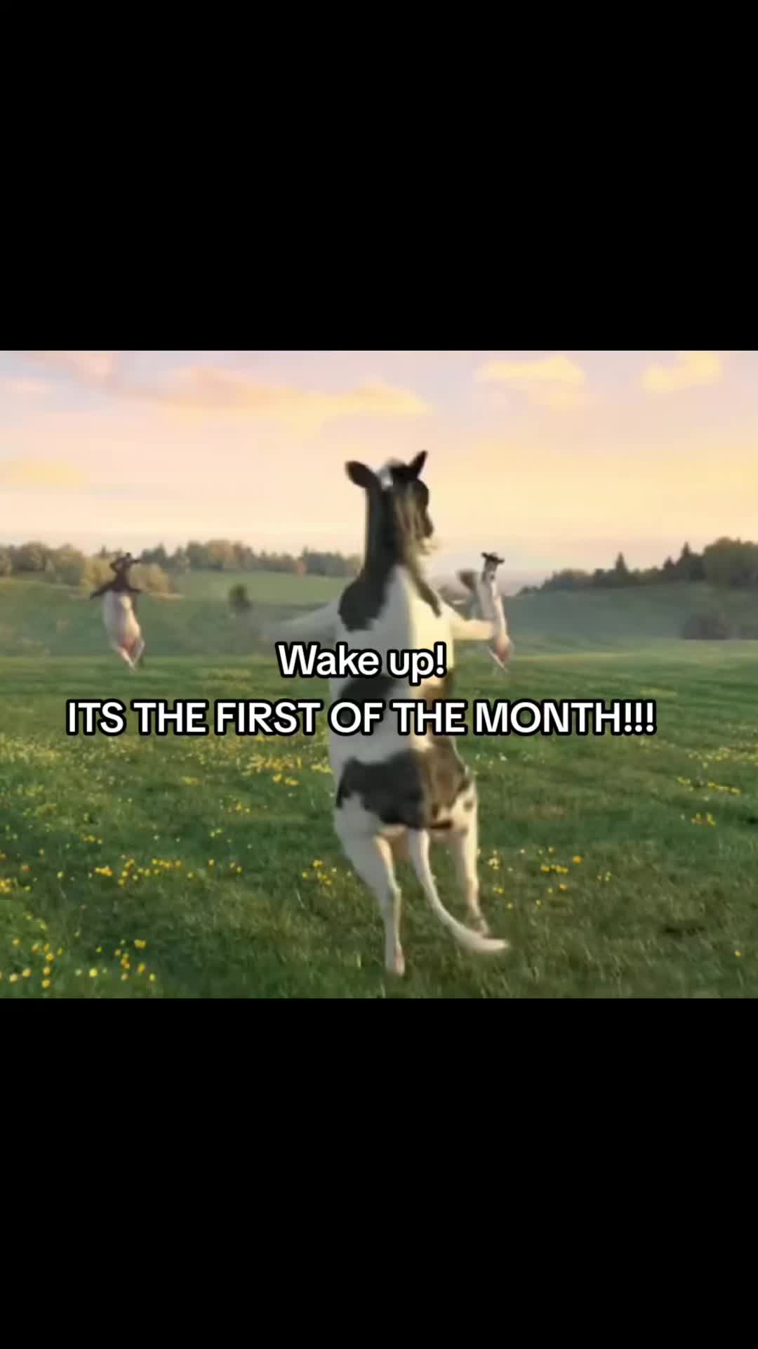 @Emmanouel Paschali