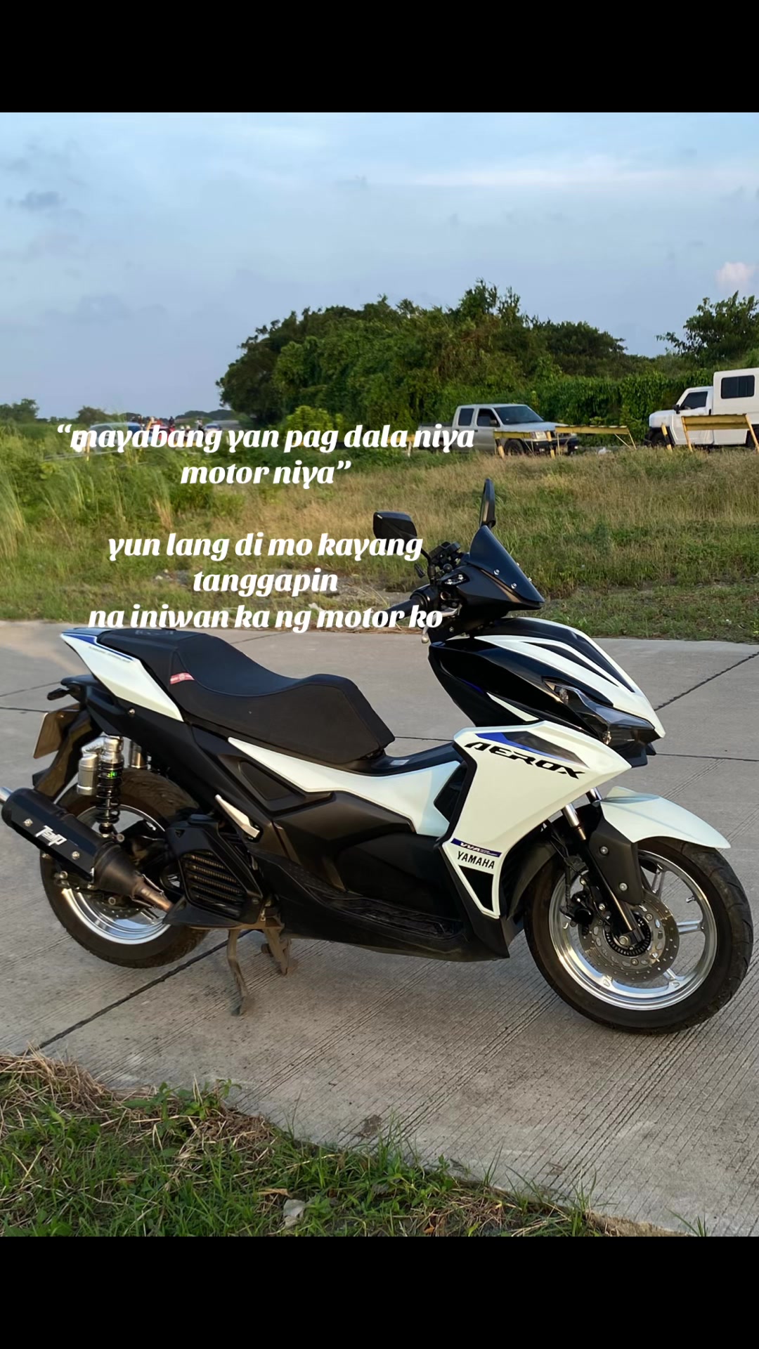 @afrayim