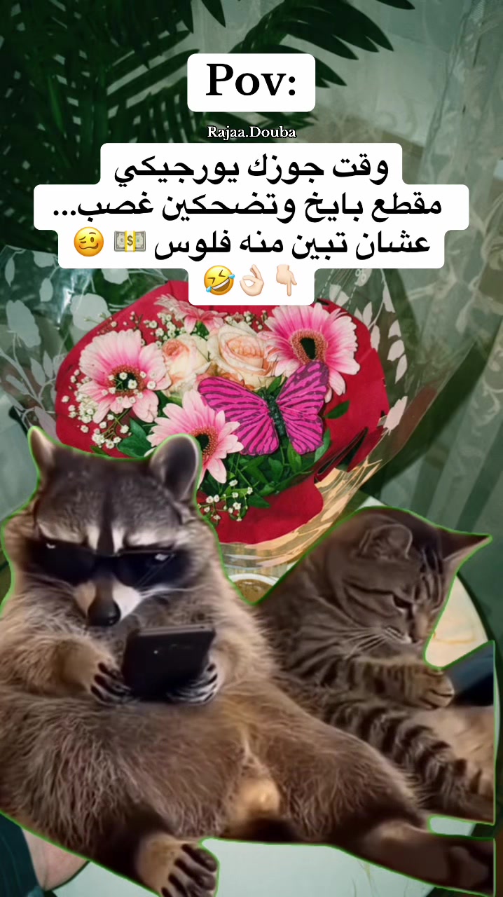@🇸🇾Rajaa Douba🇩🇪